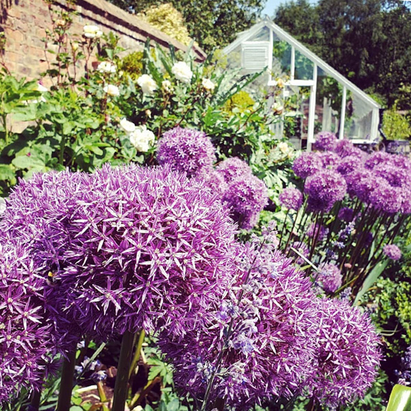 Gardening